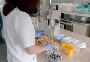 Comprendre les enjeux de la santé moderne